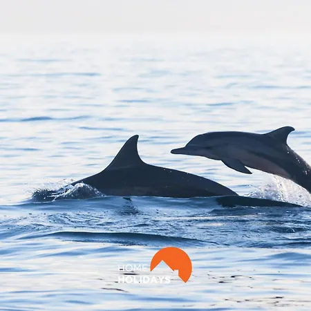 Apartamento #150 Da Rocha By Holidays Portimão