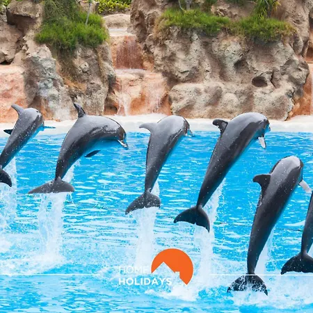 #150 Da Rocha By Holidays Portimão