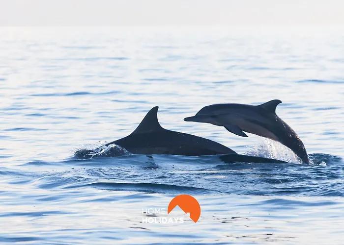 Daire #150 Da Rocha By Holidays Albufeira